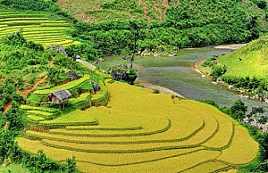 Tour Mai Châu – Pù Luông – Suối Cá Thần (Mùa Lúa Chín)